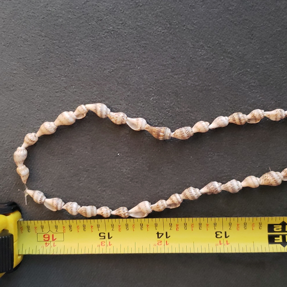 Sea Shell Necklace